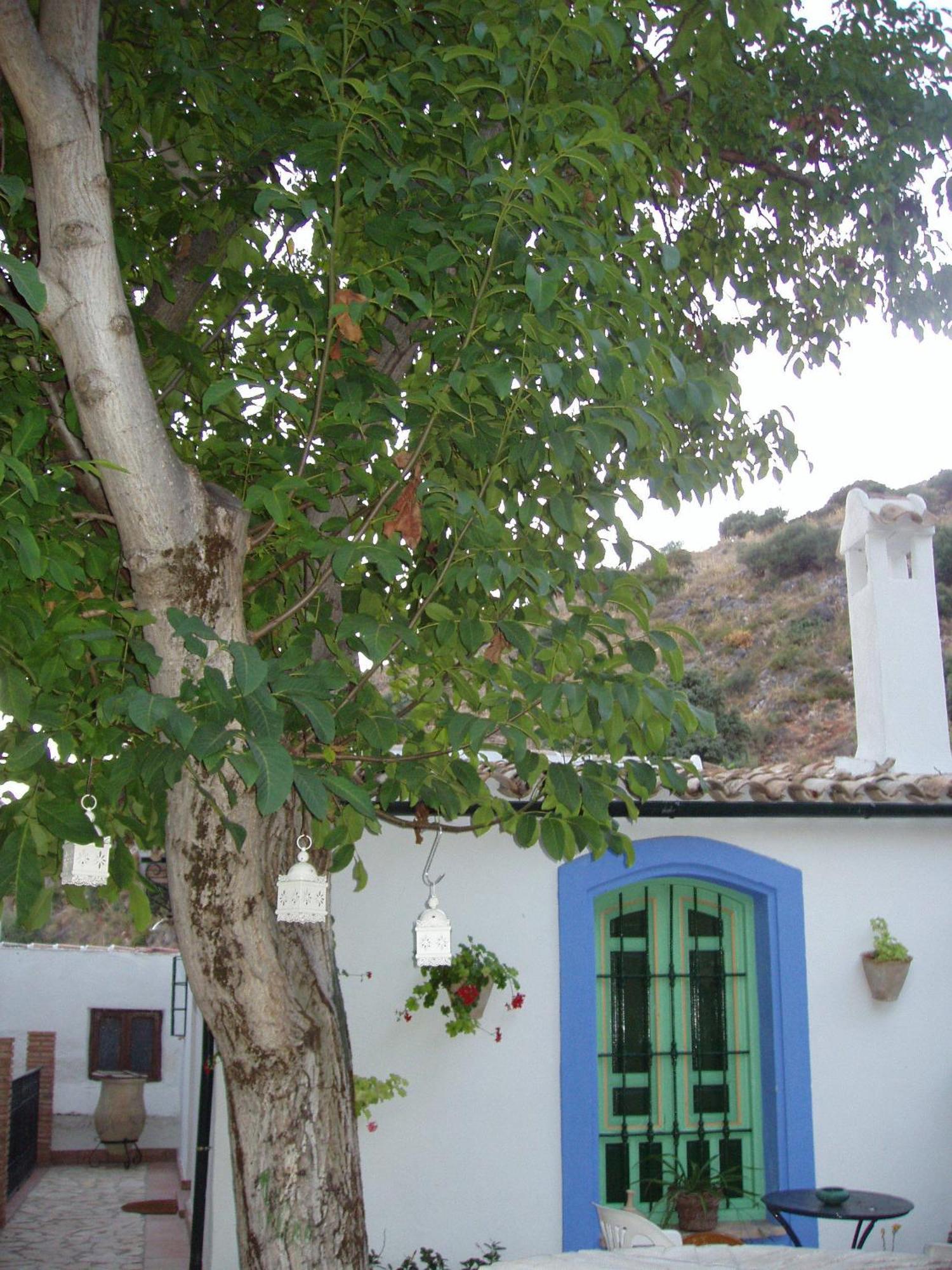 El Rincon De Carmen Rute Exterior foto
